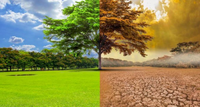 Developed countries fail to meet climate goals, while India exceeds targets