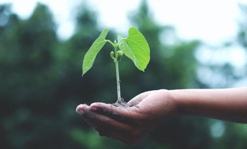 Investment In Environmental, Social and Governance Assets in The Indian Market Is Growing, Experts Say