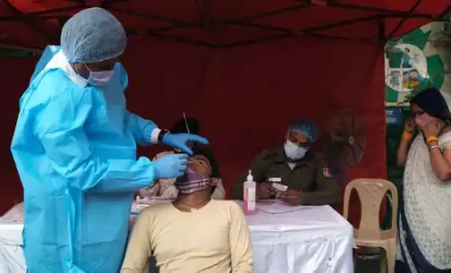 India reports 8,309 new COVID-19 cases, 236 deaths in last 24 hours