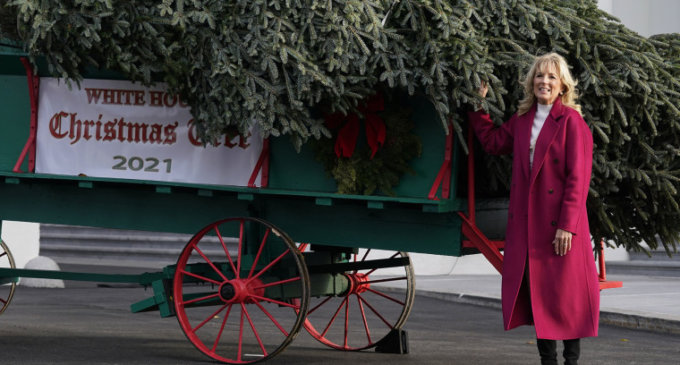 Jill Biden receives WH Christmas Tree