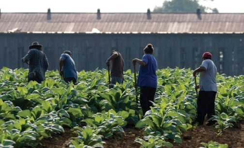 Kern County farmworkers, food processors still at risk