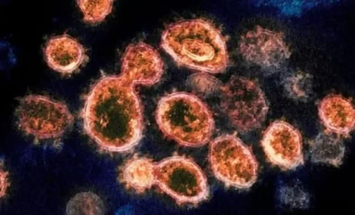 No case of B.1.1.529 COVID-19 variant reported in India so far: Official sources