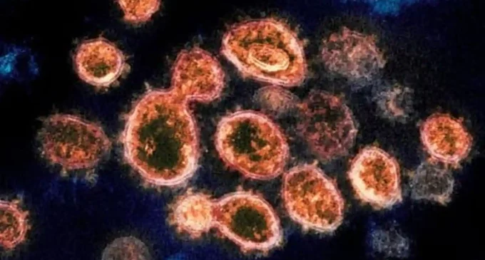 No case of B.1.1.529 COVID-19 variant reported in India so far: Official sources