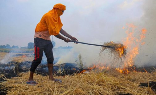 Punjab farmers demand Rs 7,000 per acre compensation to stop stubble burning