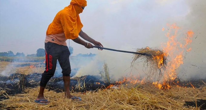 Punjab farmers demand Rs 7,000 per acre compensation to stop stubble burning