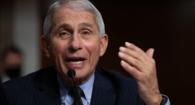 Early data on Omicron severity encouraging: Fauci