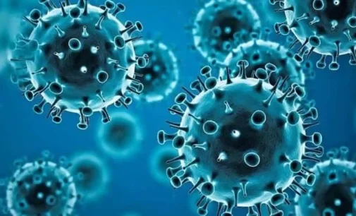 Omicron less likely to cause severe illness in lungs as Delta: Study