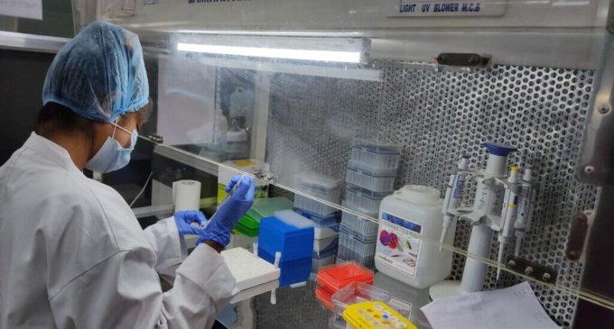India reports over 2.47 lakh fresh COVID-19 cases, 27 pc higher than yesterday