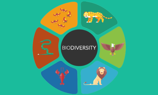 Biological Diversity