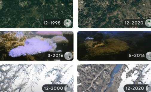 Earth Day 2022: Google Doodle sheds light on the impact of climate change