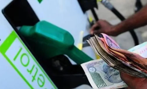 Fuel prices on steady upward march, CNG too dearer by Rs 2.5/kg