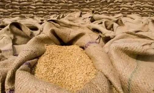 Chinese media defends Indian wheat export curb after G7 criticism