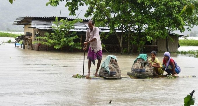 Overall flood condition improves in Assam, situation grim in 4 districts
