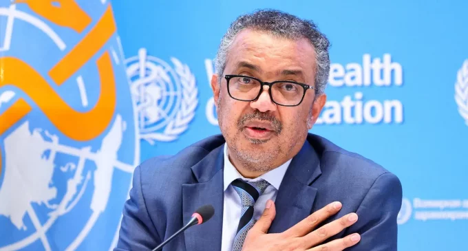 More than 550 confirmed monkeypox cases reported: UN