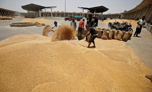 UAE orders suspension of export of Indian wheat for four months: Report