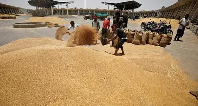 UAE orders suspension of export of Indian wheat for four months: Report