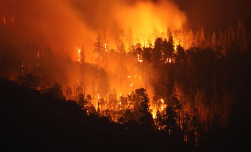 Disaster relief system is broken – community activists gear up for wildfires and hurricanes ahead