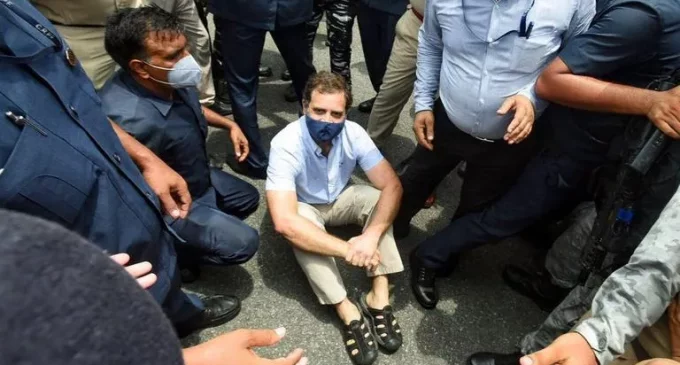Rahul Gandhi sits on road in protest as Sonia Gandhi questioned by ED