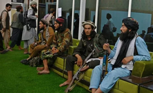 Taliban calls for implementation of Sharia law in Afghanistan