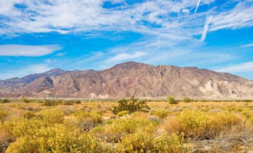 How Imperial County went from lowest to highest vaccination rates in the State’s lessons learned? Lasting impacts?