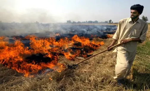 No let up in Punjab farm fires as Delhi chokes